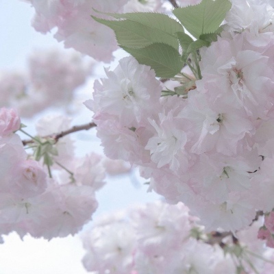 乌海FurryQQ群介绍